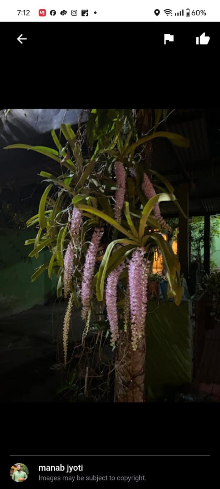 Orchid Park Homestay Sivasagar Bagian luar foto